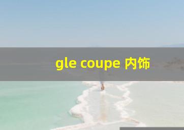 gle coupe 内饰